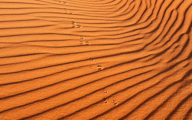 Erg Chebbi, Merzouga
