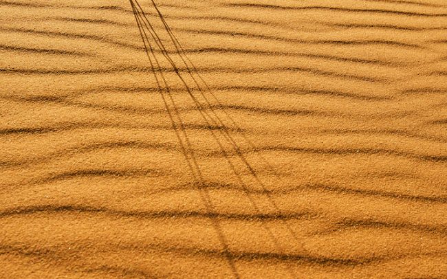 Erg Chebbi, Merzouga