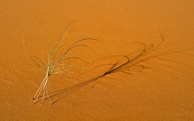 Erg Chebbi, Merzouga