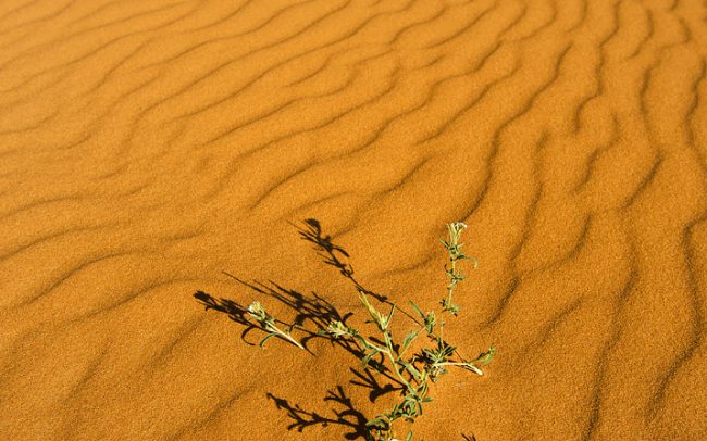Erg Chebbi, Merzouga