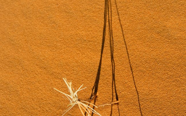 Erg Chebbi, Merzouga