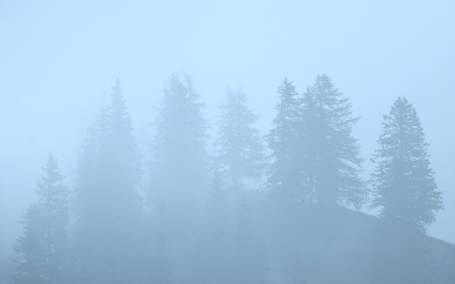 Prírodná rezervácia Combe de l'A, Švajčiarsko