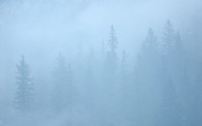 Prírodná rezervácia Combe de l'A, Švajčiarsko