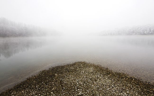 Duna menti erdők Tájvédelmi Körzet, Csallóköz