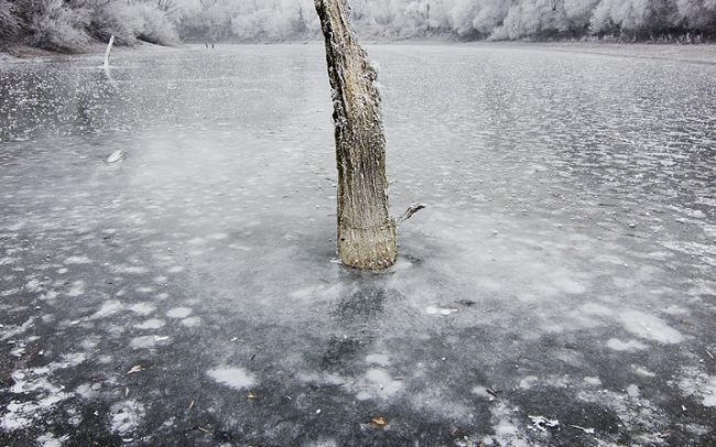 Duna menti erdők Tájvédelmi Körzet, Csallóköz