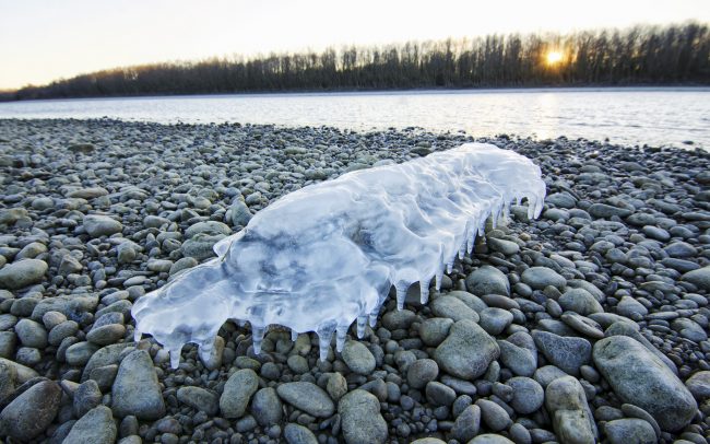 Duna menti erdők Tájvédelmi Körzet, Csallóköz
