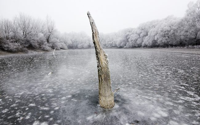 Duna menti erdők Tájvédelmi Körzet, Csallóköz
