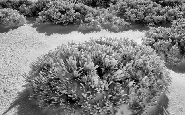 Puerto del Pico, Sierra de Gredos, Spain