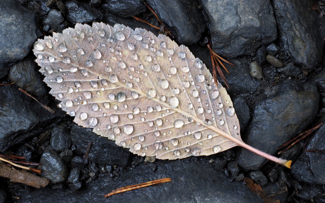 Ordesa i Monte Perdido Nemzeti Park, Spanyolország