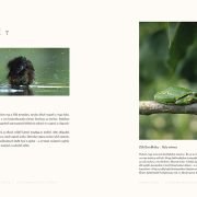 Csallokoz_OK:Layout 1