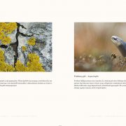 Csallokoz_OK:Layout 1