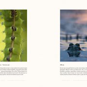 Csallokoz_OK:Layout 1