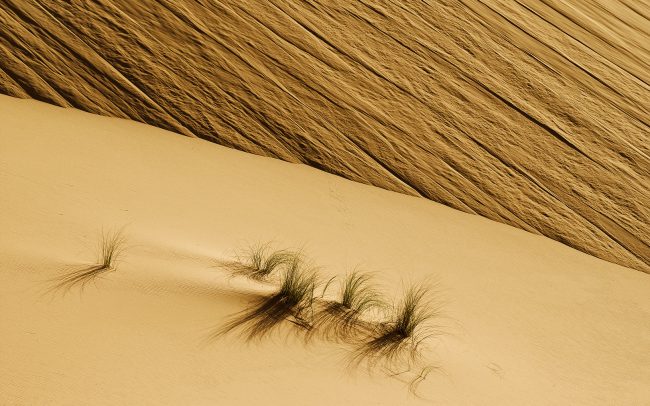 Erg Chebbi, Merzouga