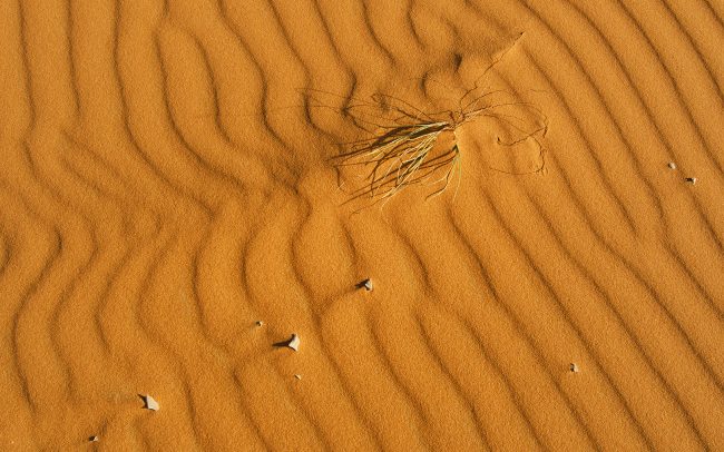 Erg Chebbi, Merzouga