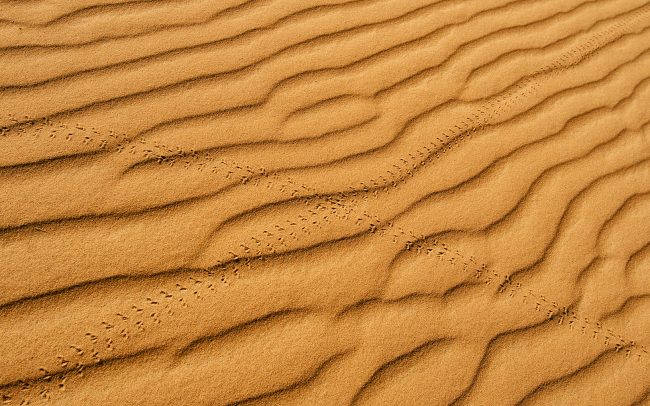 Erg Chebbi, Merzouga