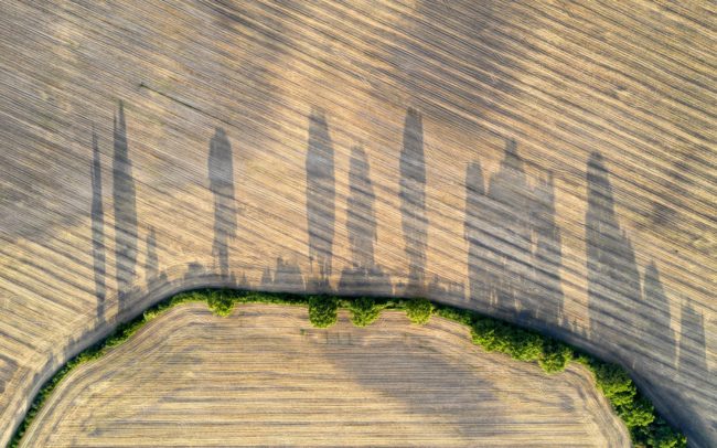 Dávnejšie meander rieky, teraz zelená, stromami a kríkmi posiata medza v strede obrábanej pôdy. A týmto slúži živočíchom ako veľmi dôležitý prechod-zelený koridor, životný priestor a útočisko v pustatine kultúrnej krajiny (Žitný ostrov).