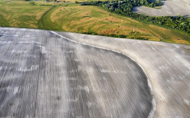Vizüket vesztve, síri csendben kanyarognak a csallóközi tájban. Nevüket vesztve, az talán nem is volt soha. Életüket vesztve, annak az ember vetett véget, valamikor réges-régen. Szellemfolyók. A Duna valaha volt, most már tényleg holt ágai. Helyükön kukorica, gabona nő, autóutak szelik át őket, fák növik be száraz medrüket. De eltüntetni a nyomukat nem tudja egyik sem. Néma üzenetük kísérteties. Magába szippant tragikus hangulatuk.