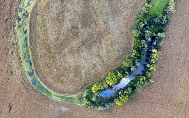 A haragos égbolt felhőit tükrözi vissza a Tőzeg-tó Nyékvárkony mellett. A tó magában egy kis szigetet, nyugodt oázist jelent az élővilág számára a kultúrtájban. Vízimadarak ülnek meg rajta és a rádőlt fatörzseken, partjainak idősebb vagy hódrágta fáit harkályfélék és más erdei madarak veszik birtokba, őzek bújnak el bokros szegélyében. Kiterjedt kukoricaföld veszi körül, a nutriák láthatóan hasznot húznak belőle – kijárnak dészmálni a termést.