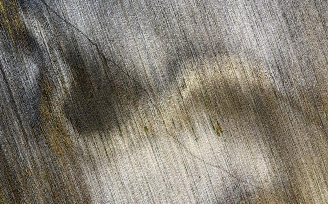 Vykresľujúca sa pozostalosť veľkej prarieky pri Jurovej. Síce už je dávno mŕtva, jej posmrtná krása akoby vzdorovala času. Ani pol kilometrová perspektíva nedokáže zabrať do jedného obrazu jej niekdajšie meandre. Do jej pastelového prostredia sú miestami vyryté línie srnčích šlapají.