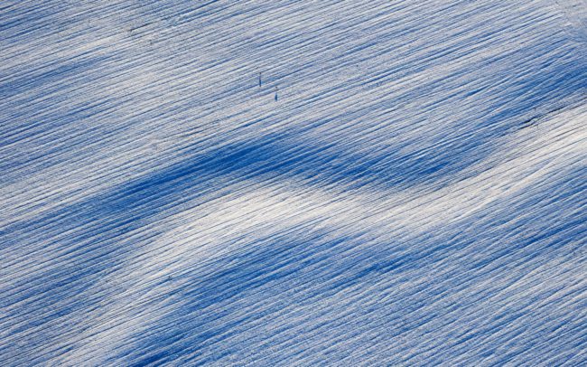 Kilométereken át kígyózik ez a száraz meder a behavazott csallóközi tájban a Tőkési-ág születésénél, forrásainak közelében. Teljes nyomvonalát lehetetlen egy fotón bemutatni, de talán a hullámzó kanyarok egykori partján tartózkodó őzek is jól érzékeltetik impozáns méreteit.