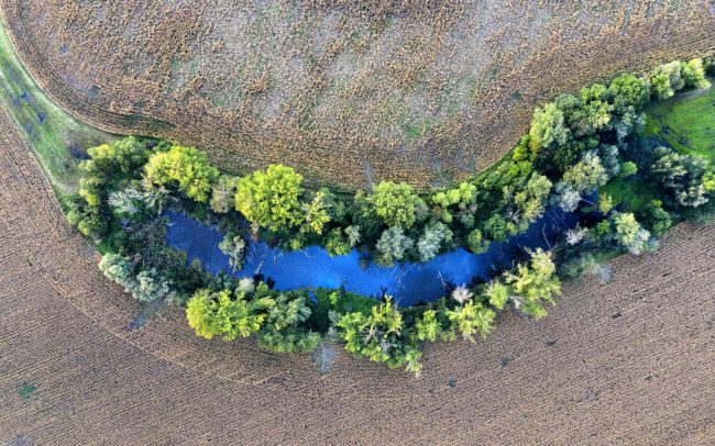 A haragos égbolt felhőit tükrözi vissza a Tőzeg-tó Nyékvárkony mellett. A tó magában egy kis szigetet, nyugodt oázist jelent az élővilág számára a kultúrtájban. Vízimadarak ülnek meg rajta és a rádőlt fatörzseken, partjainak idősebb vagy hódrágta fáit harkályfélék és más erdei madarak veszik birtokba, őzek bújnak el bokros szegélyében. Kiterjedt kukoricaföld veszi körül, a nutriák láthatóan hasznot húznak belőle – kijárnak dészmálni a termést.
