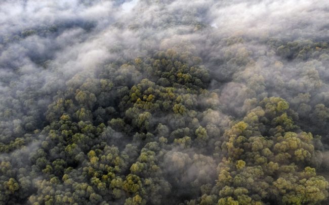 Október a vadon felett. Az ártér érintetlenebb részeinek hajnali misztikus hangulatát nehezen tudnám leírni. Viszont annál intenzívebben élem meg az ott töltött időt. Szeretek elveszni a Duna erdőiben, vagy fentről nézve teljesebb képet kapni ezekről a helyekről. Dunamenti Ligeterdők Tájvédelmi körzet.