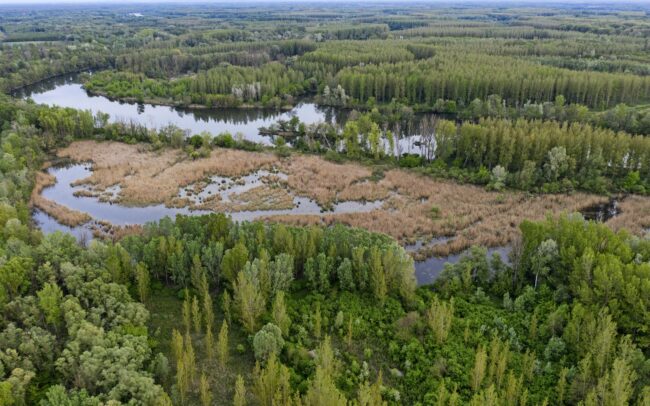 A bősi vízerőmű építése során egyik-másik mocsarunkat épphogy csak elkerülte a Dunához tartozó élőhelyek likvidálásának sorsa. Egyike ezeknek a Hálóterítő. Egyben ékes példája, hírmondója annak, hogy milyen érték veszett akkor oda, nyomtalanul, visszavonhatatlanul. Duna menti erdők Tájvédelmi Körzet, Csallóköz