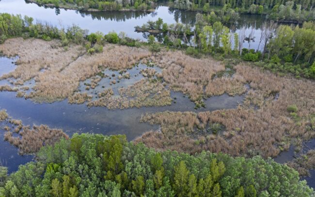 A bősi vízerőmű építése során egyik-másik mocsarunkat épphogy csak elkerülte a Dunához tartozó élőhelyek likvidálásának sorsa. Egyike ezeknek a Hálóterítő. Egyben ékes példája, hírmondója annak, hogy milyen érték veszett akkor oda, nyomtalanul, visszavonhatatlanul. Duna menti erdők Tájvédelmi Körzet, Csallóköz