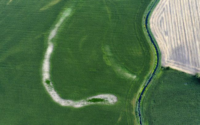 Vonalak a kukoricában innen és a kukoricán túl. Hajdani folyó és mai kanális hullámai a tájban Nyékvárkony határában.