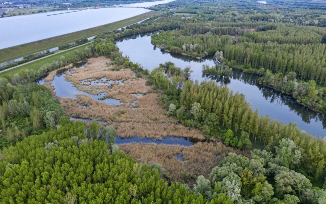 A bősi vízerőmű építése során egyik-másik mocsarunkat épphogy csak elkerülte a Dunához tartozó élőhelyek likvidálásának sorsa. Egyike ezeknek a Hálóterítő. Egyben ékes példája, hírmondója annak, hogy milyen érték veszett akkor oda, nyomtalanul, visszavonhatatlanul. Duna menti erdők Tájvédelmi Körzet, Csallóköz