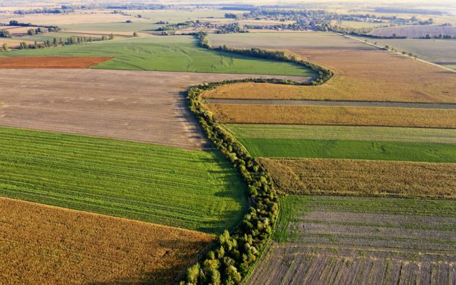 Rieka Barcs medzi Veľkou Lúčou a Kľučiarovými Kračanmi.