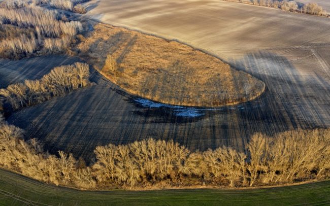 Between Pataš and Čilizská Radvaň, the site of the former river and its bog is protected by reed areas. Great Rye Island, Slovakia.