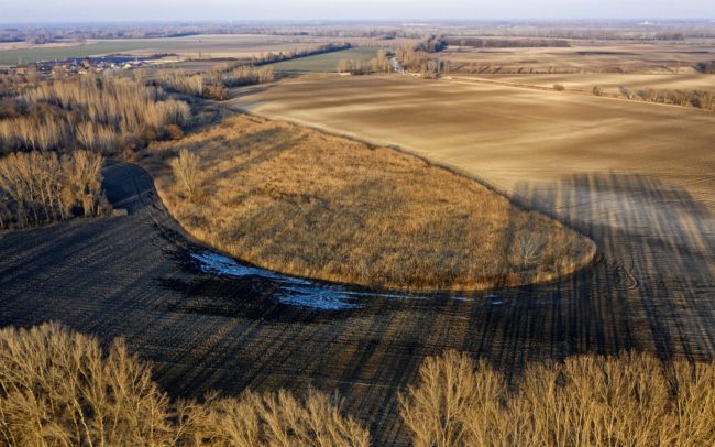 Csilizpatas és Csilizradvány között az egykori folyó és lápjának helyét nádas területek őrzik.