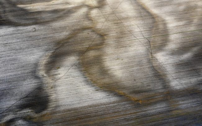One-time riverbed in agricultural land. It was meandering through the region of southwestern Slovakia before the human activity which changes the land for own use centuries ago. The water of the river has been forced to the canals, its marshes have been dried. Lines of roe deer marks scratch its pastel colors. Great Rye Island, Slovakia