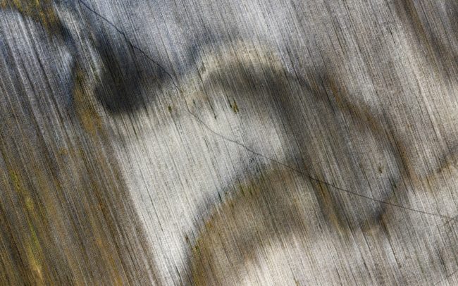 Egy nagy ősfolyam hagyatéka rajzolódik ki Dercsika közelében. Bár rég halott, földöntúli szépsége dacolni látszik az idővel. Fél kilométeres távlat sem tudja egy képbe foglalni valaha volt kanyarulatait. Őznyomok vonalai karcolják végig pasztelles színvilágát.