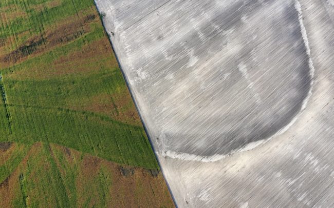 Mindegy, hogy kukoricában vagy lecsupaszított földön. Itt medrének talaja, amott mélyedése árulkodik kígyózó, szétágazó vonalairól. Nem tudjuk elrejteni, arcunkba vágja a múltat. A több módon visszaköszönő, egyszervolt folyó. Csallóköz.