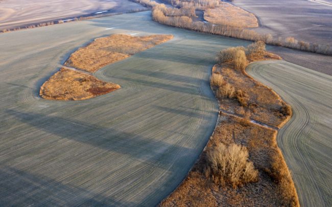 The former rivers of Great Rye Island are isles in the agricultural landscape. These preserved river bends with reeds, bushes and trees are very important and species-rich habitats simply because of their huge size. Their right to exist is not in question, because they are worth a treasure. Their future is all the more uncertain because we are unable to see their value. While rivers used to be natural parts of the landscape, with which people could live together, the existence of their remains today is uncertain, as they are much more in the way of human interests. It is feared that the drying of the environment and the desire for arable land will sooner or later wipe them off the face of the earth. Great Rye Island, Slovakia.