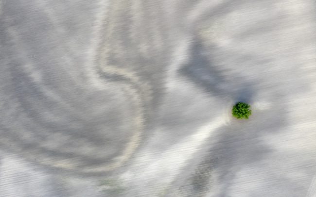 A Barcs folyó maradéka Kulcsárkarcsa és Lúcs közelében. A gépek és az idő munkája, mint valami szétkenő ecset, lassan elmázolja, leradírozza a táj palettájáról a múltbeli folyó minden maradékát. Addig is a föld és óriási nyárfák szigete őrzi emlékét.