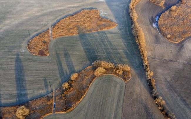 Csilizköz egykori folyóiból lett szigetek a mezőgazdasági tájban Miléniumtól délre, Balonytól északra. Pusztán hatalmas méretük okán is komoly jelentőségű, fajgazdag élőhelyek ezek a megőrződött nádas-bokros-fás folyókanyarok. Létjogosultságuk nem kérdéses, hisz kincset érnek. Jövőjük viszont annál inkább bizonytalan, mert értéküket nem vagyunk képesek meglátni. Míg régen a folyók a természetes részei voltak a tájnak, amelyekkel az ember együtt tudott élni, addig mai maradványaik léte bizonytalan, mivel sokkal inkább útjában állnak az emberi érdeknek. Félő, hogy a környezet száradása és a művelhető föld utáni vágy előbb-utóbb eltörli őket a föld színéről.