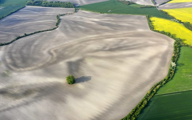 A Barcs folyó Kulcsárkarcsa és Lúcs közelében. Hátul, balra bokros mezsgye vág át régi folyamkanyart. Itt elöl ugyanazon egykori folyó hullámzó vonala köt össze két mezsgyét, saját hajdani, vízzel telt maradányait. Ott a jelen csonkít meg múltat, itt a múlt kapcsol össze jelent. Míg a gépek és az idő munkája, mint valami szétkenő ecset, el nem mázolja, le nem radírozza a táj palettájáról a múltbeli folyó minden maradékát. Addig is a föld és óriási nyárfák szigete őrzi emlékét.