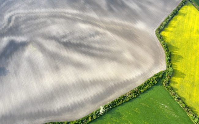 A Barcs folyó maradéka Kulcsárkarcsa és Lúcs közelében. A gépek és az idő munkája, mint valami szétkenő ecset, lassan elmázolja, leradírozza a táj palettájáról a múltbeli folyó minden maradékát. Addig is a föld és óriási nyárfák szigete őrzi emlékét.