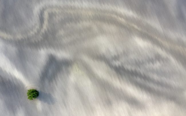 A Barcs folyó maradéka Kulcsárkarcsa és Lúcs közelében. A gépek és az idő munkája, mint valami szétkenő ecset, lassan elmázolja, leradírozza a táj palettájáról a múltbeli folyó minden maradékát. Addig is a föld és óriási nyárfák szigete őrzi emlékét.