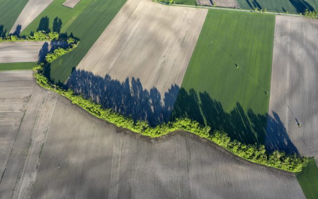 Former bends of the Barcs river are now crossed by a canal, between the villages of Amadeho Kračany and Vrakúň. Great Rye Island, Slovakia