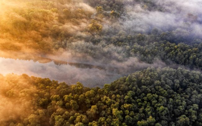 October over the wilderness I can just hardly describe the mystical atmosphere of the untouched parts of the alluvial area at dawn. However, I enjoy the time spent there even more. I like to get lost in the forests of the Danube, or get a wider view of these places from above. Danube Floodplains Protected Landscape Area, Great Rye Island, Slovakia.