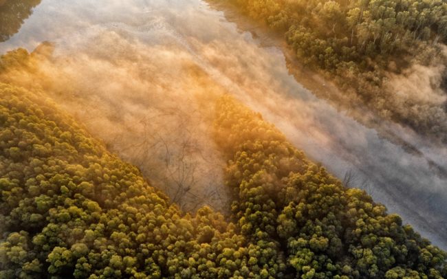 Október a vadon felett. Az ártér érintetlenebb részeinek hajnali misztikus hangulatát nehezen tudnám leírni. Viszont annál intenzívebben élem meg az ott töltött időt. Szeretek elveszni a Duna erdőiben, vagy fentről nézve teljesebb képet kapni ezekről a helyekről. Dunamenti Ligeterdők Tájvédelmi körzet.