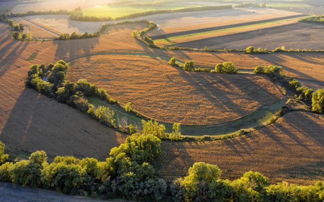 Falum, Nyékvárkony határában, Kenderes környékén van egy tavacska a fák között megbújva. A fotón is látható, a bal felén kéklik. Emlékeim szerint gyermekkori kalandozásaim legtávolabbi pontja, az akkori világvégém volt, eddig merészkedtem. Csak fentről nézve tűnik fel, hogy valójában egy lefűződött holtág legmélyebb pontja, szinte mindig vízzel telve. De a folyóhuroknak a további részei is alacsonyan vannak, a laposban a legtöbb termény nem nő meg. A régi térképek tanúsága szerint már pár évszázada másképpen gazdálkodnak rajta, mint a környékén, megőrizve ezzel a holtág holtág eredeti alakját.