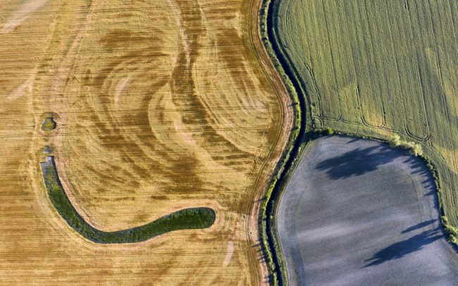 Vonalak a gabonában innen és a gabonán túl. Hajdani folyó és mai kanális hullámai a tájban Nyékvárkony határában.