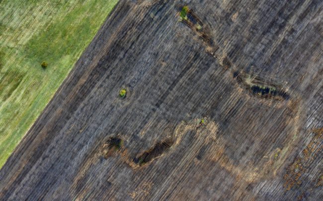 A Sísára-tó a 19. századi térképek tanúsága szerint az egykori Aranykert egyik legkiterjedtebb vizes élőhelye lehetett. A Nyékvárkonytól északra elterülő lapály több folyammal is kapcsolatban volt. Azok táplálták, vagy belőle táplálkoztak, mint ez a kanyargós ág a falu nyéki határában.