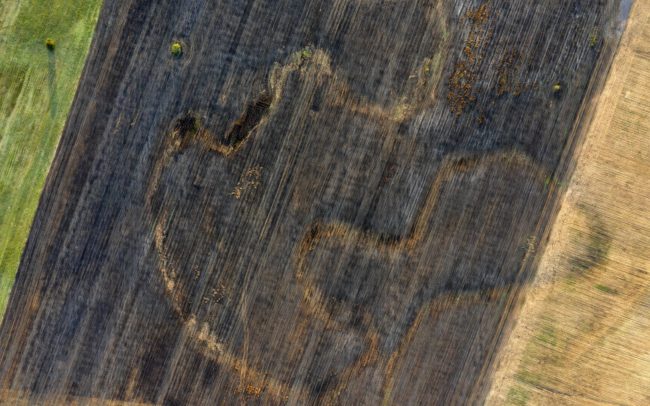 A Sísára-tó a 19. századi térképek tanúsága szerint az egykori Aranykert egyik legkiterjedtebb vizes élőhelye lehetett. A Nyékvárkonytól északra elterülő lapály több folyammal is kapcsolatban volt. Azok táplálták, vagy belőle táplálkoztak, mint ez a kanyargós ág a falu nyéki határában.