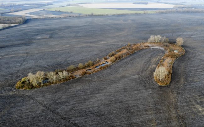 Gyakran úgy gondolunk a természetes élőhelyekre, mint nagy kiterjedésű területekre. Ez a Dercsika melletti alakzat az egykori folyóágak és holtágak – a Duna világszinten egyedi belföldi deltája - likvidálásának korából maradt fenn. Az ilyen kis, elszórt, szigetszerű természetes foltok a kultúrtáj végtelenjében rendkívül fontosak az állatvilág és a biológiai sokféleség megőrzésének érdekében.